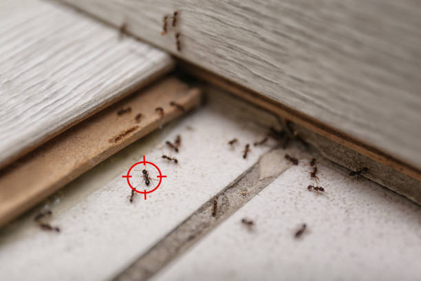 Pest Control Cost in North Judson, IN