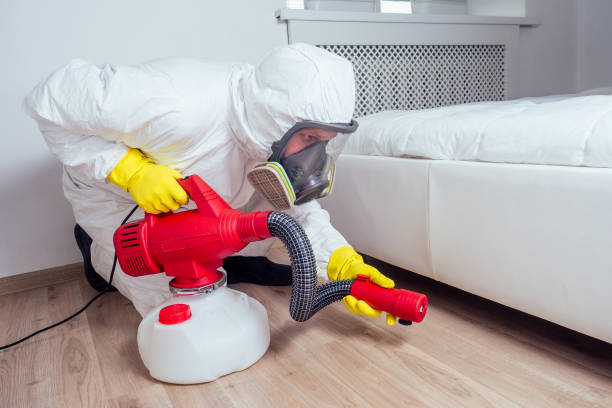 Best Mosquito Control Services  in North Judson, IN