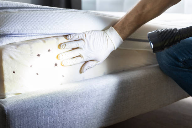 Reliable North Judson, IN Pest Control Solutions