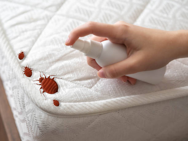 Best Mosquito Control Services  in North Judson, IN