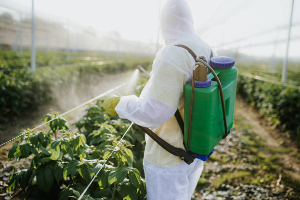 Insect Control in North Judson, IN